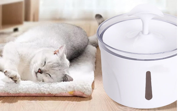 Fontaine à eau pour chat : le guide pour bien choisir (indispensable en canicule)