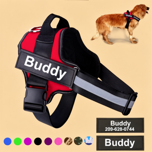 Le Harnais Luna – Confort et Contrôle pour Promenades Sereines